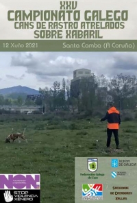 XXV Campionato Galego de Cans de Rastro sobre Xabaril