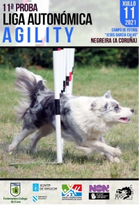 Liga Autonómica de Agility