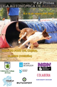 Liga Autonómica de Agility
