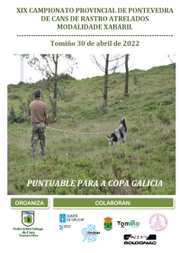 Campionato Provincial de Pontevedra de Cans de Rastro sobre Xabaril