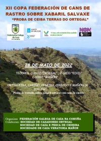 Copa Federación de Cans de Rastro sobre Xabaril Salvaxe