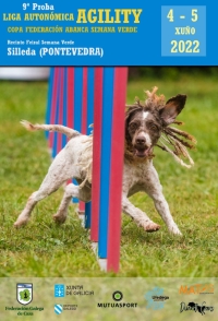 Liga Autonómica de Agility - Copa ABanca Semana Verde