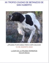 XX Trofeo Ciudad de Betanzos de San Huberto