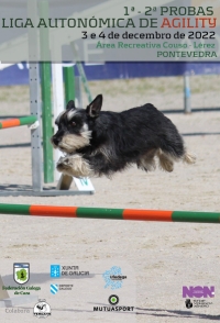Liga Autonómica de Agility