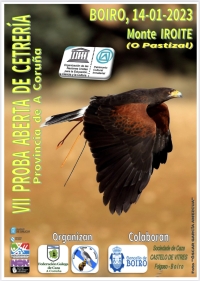 VII Proba aberta de Cetrería