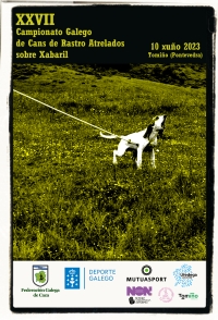 XXVII Campionato Galego de Cans de Rastro de Xabaril