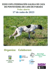 Copa FGC de Pontevedra de Cans de Parada