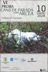 VI Proba de Cans de Parada sobre Arcea