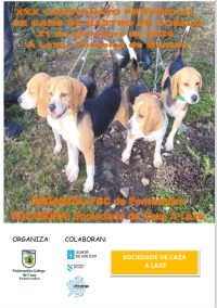 XXX Campionato Provincial de Pontevedra de Cans de Rastro sobre Coello