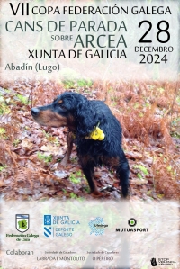 VII Copa Federación Galega de Cans de Parada sobre Arcea Xunta de Galicia