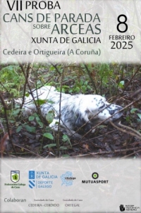 VII Proba Cans de Parada sobre Arcea Xunta de Galicia