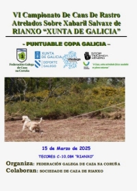 VI Campionato de Cans de Rastro Atrelados sobre Xabaril Salvaxe de Rianxo Xunta de Galicia