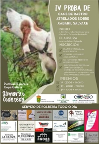 IV Proba de Cans de Rastro Atrelados sobre Xabaril Salvaxe