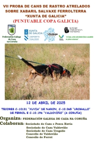 VII Proba de Cans de Rastro Atrelados sobre Xabaril Salvaxe Ferrolterra "Xunta de Galicia"