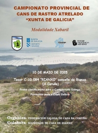 Campionato Provincial da Coruña de Cans de Rastro Atrelados sobre Xabaril "Xunta de Galicia"