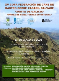 Copa Federación de Cans de Rastro sobre Xabaril Salvaxe "Xunta de Galicia" - Proba de Ceiba Terras do Ortegal