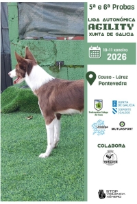 5ª e 6ª Probas Liga Autonómica de Agility "Xunta de Galicia"