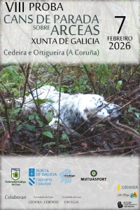 VIII Proba de Cans de Parada sobre Arceas "Xunta de Galicia"