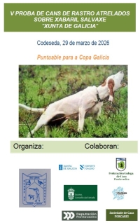 V Proba de Cans de Rastro Atrelados sobre Xabaril Salvaxe "Xunta de Galicia"