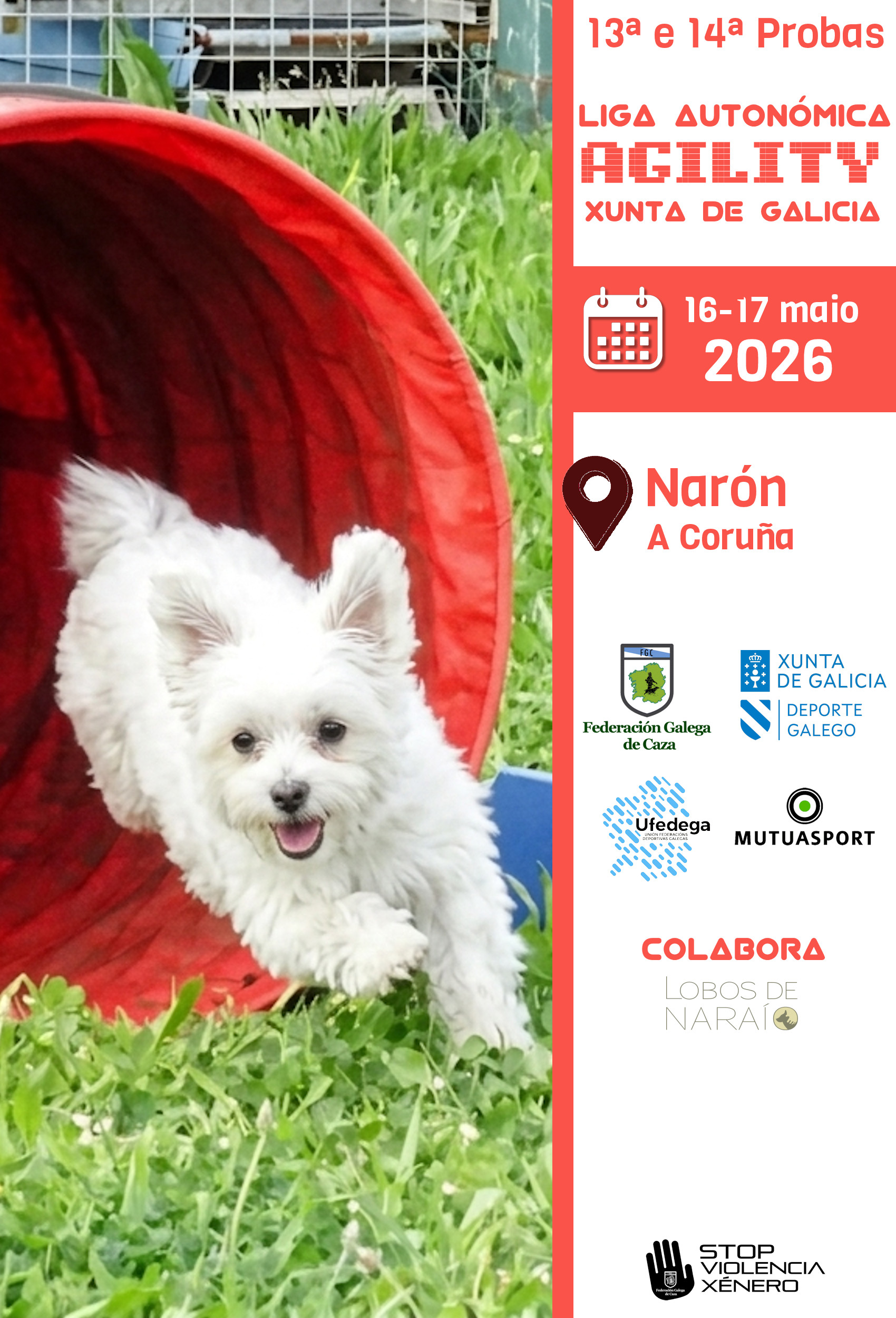 13ª e 14ª Probas Liga Autonómica de Agility