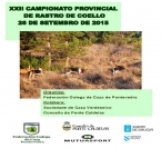 XXII Campionato Provincial de Pontevedra de Rastro de Coello