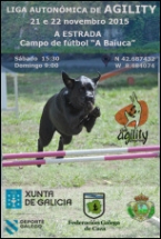5ª e 6ª Proba de Alta Competición Agility