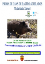 Proba de Cans de Rastro sobre Xabaril de Balsego