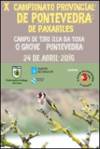 Campionato Provincial de Pontevedra de Paxariles
