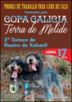 II Torneo "Terra de Melide" de Rastro de Xabaril