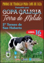 II Torneo "Terra de Melide" de San Huberto