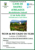 Campionato Provincial de Ourense de Rastro de Xabaril