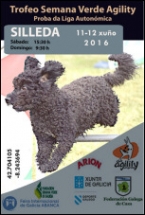 Liga Autonómica de Agility