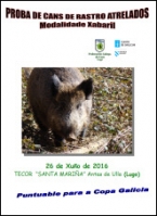 Campionato de Cans de Rastro de Xabaril Antas de Ulla
