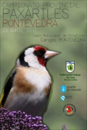 Campionato Provincial de Pontevedra de Paxariles