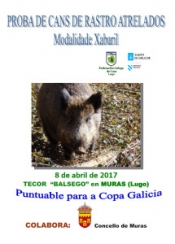 Proba de Cans de Rastro sobre Xabaril de Balsego