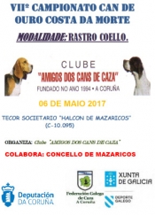 Campionato Can de Ouro "Costa da Morte" de Rastro de Coello