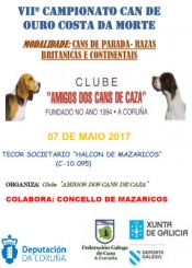 Campionato Can de Ouro "Costa da Morte" de Cans de Parada