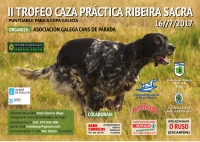 Trofeo "Ribeira Sacra" de Cans de Parada