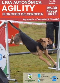 Liga Autonómica de Agility