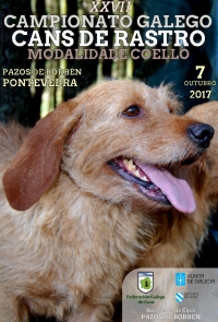 XXVII Campionato Galego de Cans de Rastro de Coello