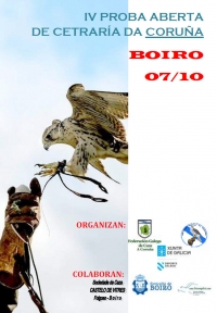 IV Proba Aberta de Cetraría da Coruña