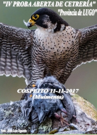 Proba Aberta de Cetraría Provincia de Lugo