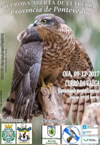 Proba Aberta de Cetraría Provincia de Pontevedra