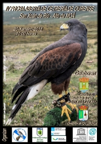 Proba Aberta de Cetraría de Ourense