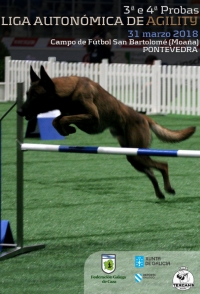 Liga Autonómica de Agility