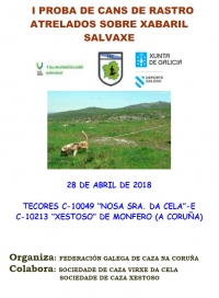 I Proba de Rastro de Xabaril Salvaxe de Monfero
