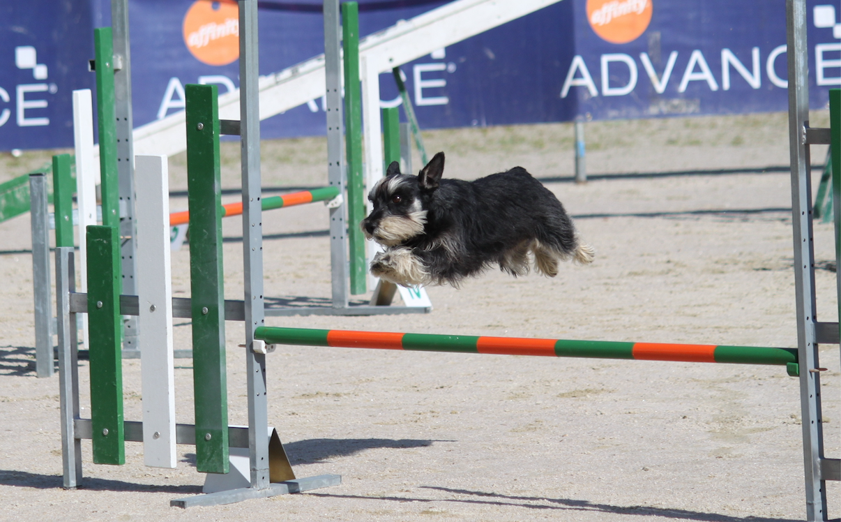 Agility