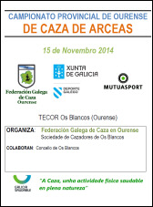 Campionato Provincial de Ourense de Arceas