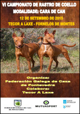 VI Campionato de Rastro de Coello "Cara de Can"
