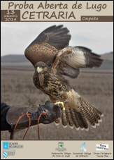 Proba Aberta de Cetraría de Lugo
